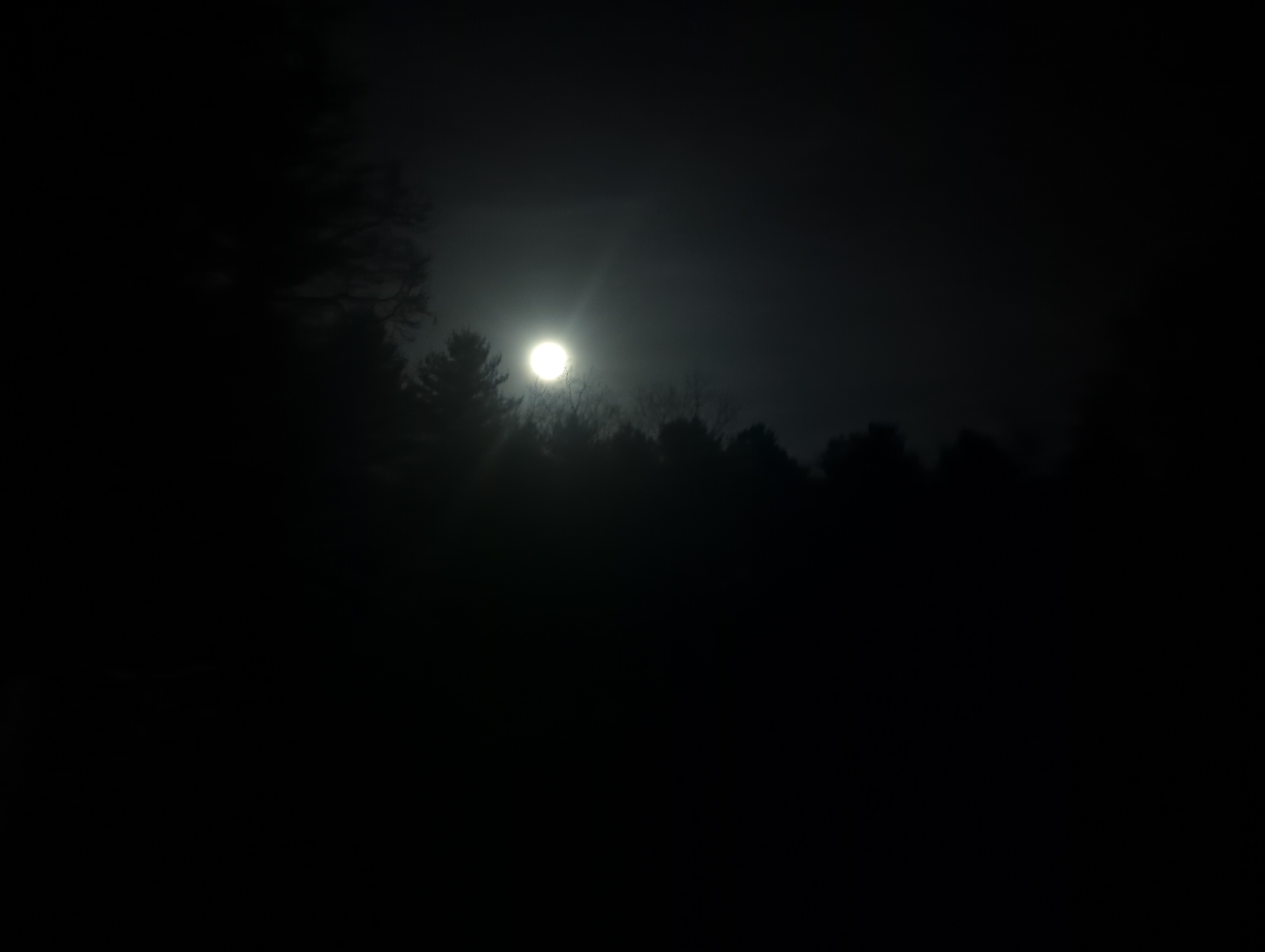 IMG_20250313_202500.jpg