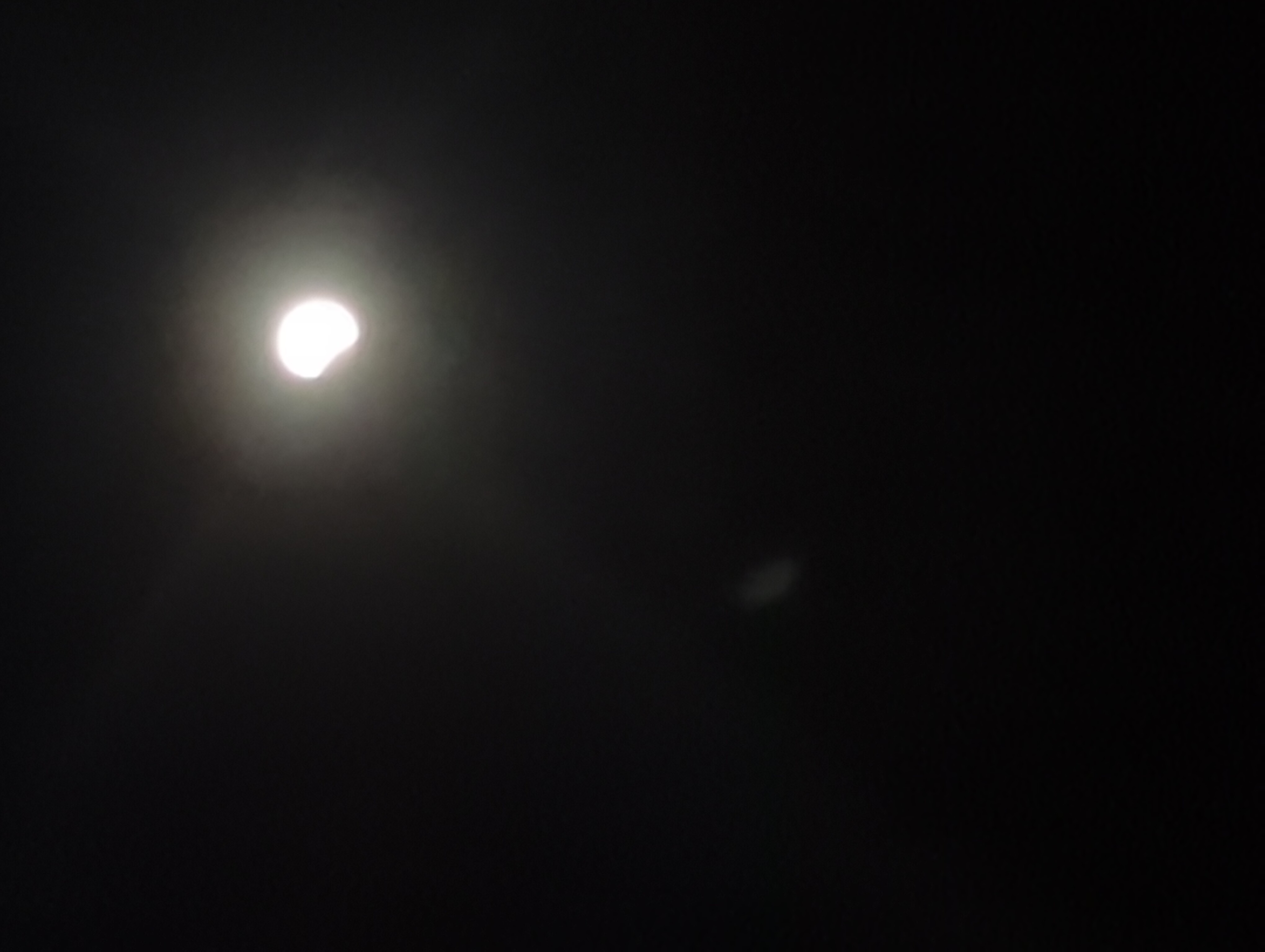 IMG_20250314_013514.jpg