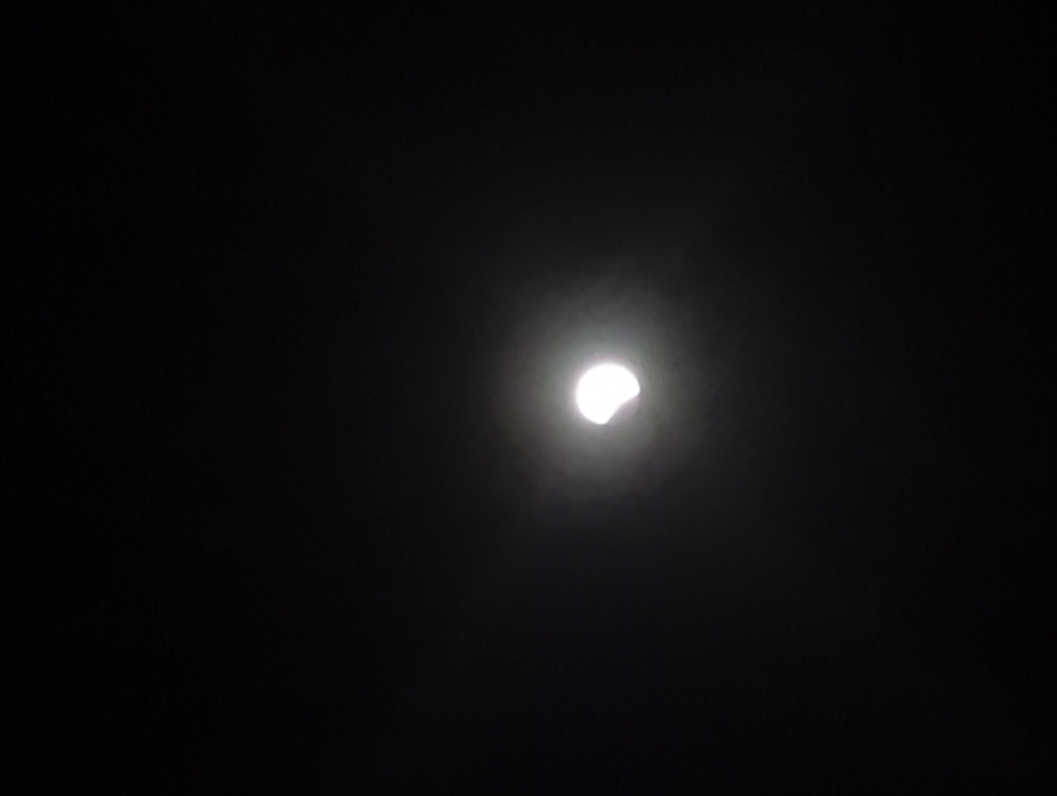 IMG_20250314_013516.jpg