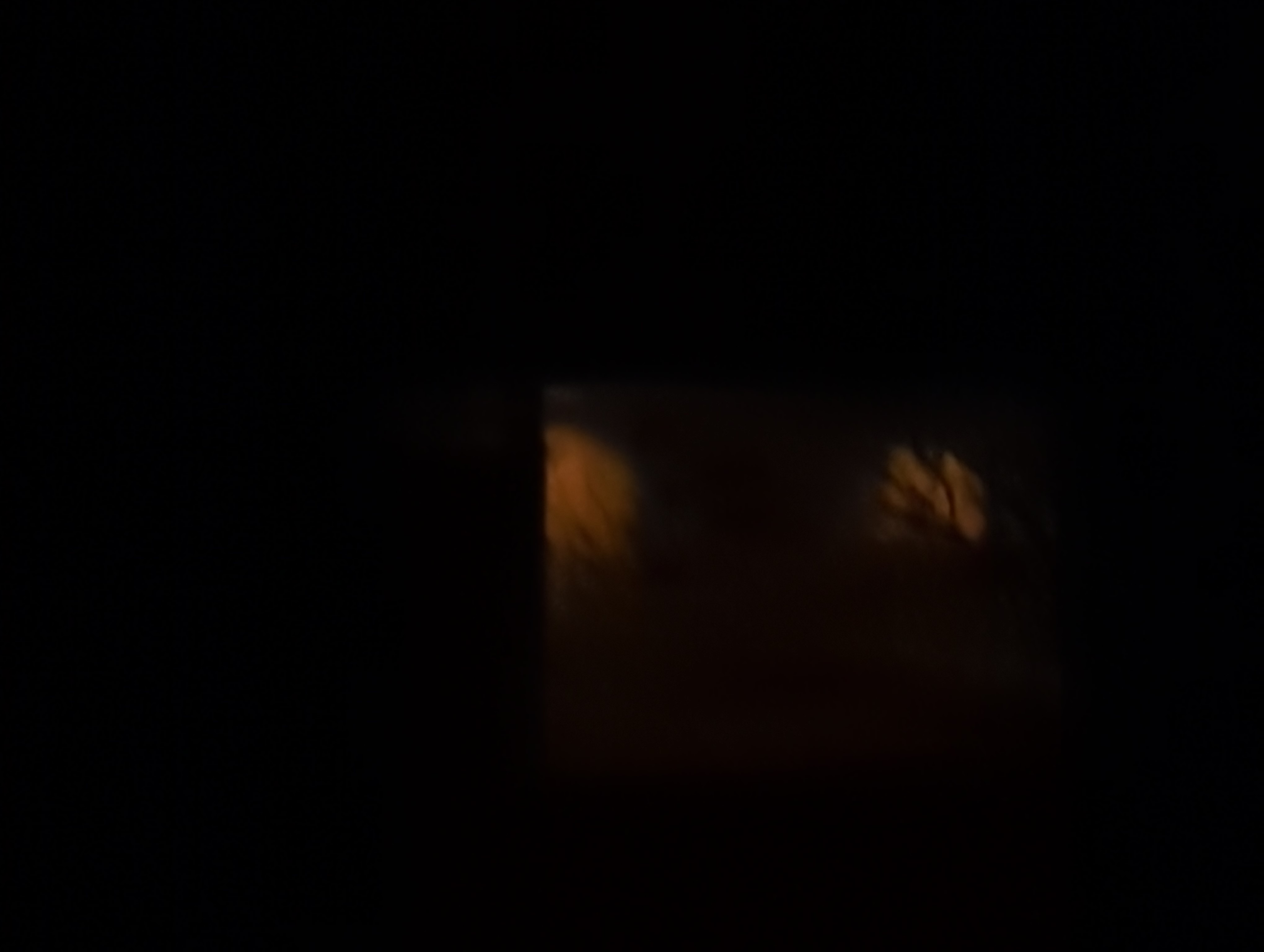 IMG_20250314_022442.jpg